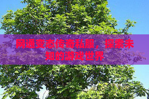 网通变态传奇私服，探索未知的游戏世界