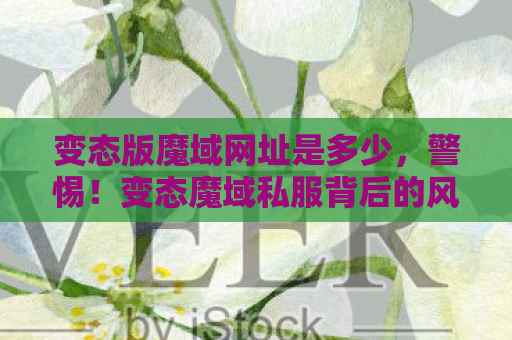 变态版魔域网址是多少，警惕！变态魔域私服背后的风险与危害