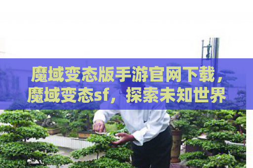 魔域变态版手游官网下载，魔域变态sf，探索未知世界的奇幻之旅