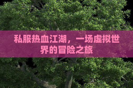 私服热血江湖，一场虚拟世界的冒险之旅