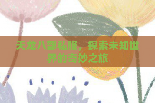 天龙八部私服，探索未知世界的奇妙之旅