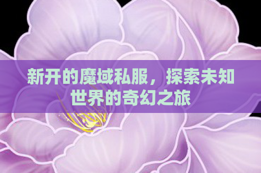 新开的魔域私服，探索未知世界的奇幻之旅