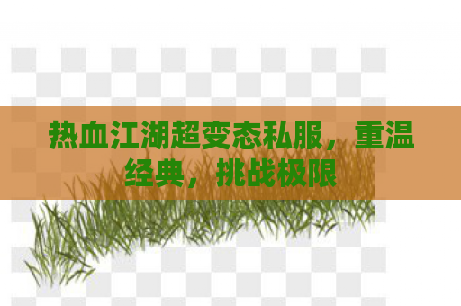 热血江湖超变态私服，重温经典，挑战极限