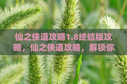 仙之侠道攻略1.8终结版攻略，仙之侠道攻略，解锁你的仙侠之旅