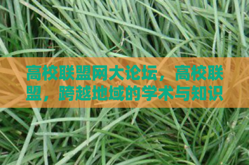 高校联盟网大论坛，高校联盟，跨越地域的学术与知识共享