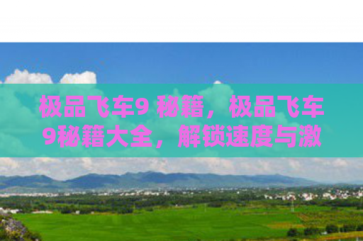 极品飞车9 秘籍，极品飞车9秘籍大全，解锁速度与激情的终极秘籍