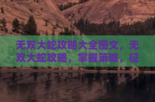 无双大蛇攻略大全图文，无双大蛇攻略，掌握策略，征服战场