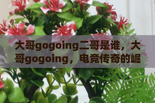 大哥gogoing二哥是谁，大哥gogoing，电竞传奇的崛起与陨落