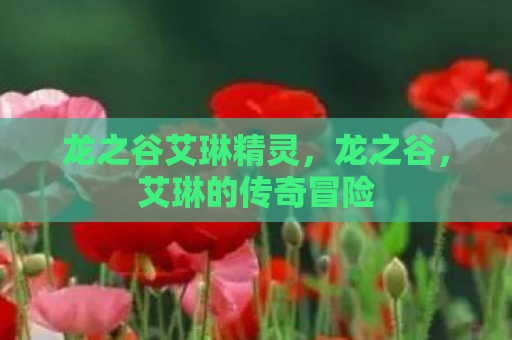 龙之谷艾琳精灵，龙之谷，艾琳的传奇冒险