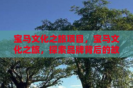 宝马文化之旅项目，宝马文化之旅，探索品牌背后的故事与传承