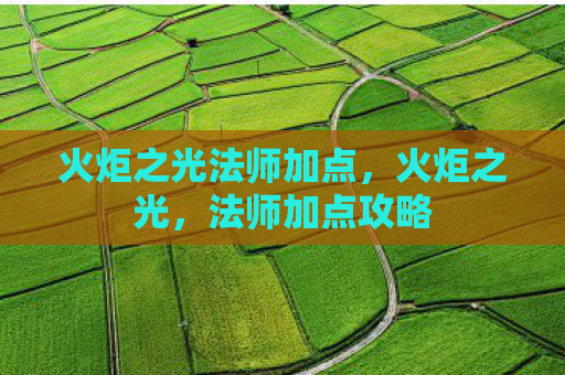 火炬之光法师加点，火炬之光，法师加点攻略