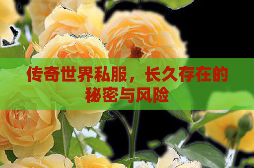 传奇世界私服，长久存在的秘密与风险