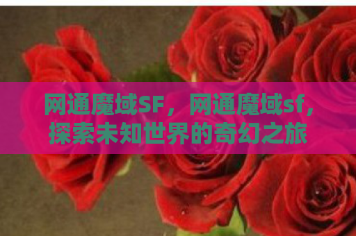 网通魔域SF，网通魔域sf，探索未知世界的奇幻之旅