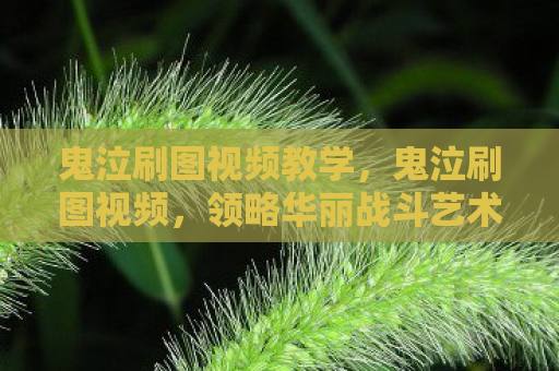 鬼泣刷图视频教学，鬼泣刷图视频，领略华丽战斗艺术的魅力