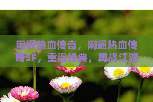 网通热血传奇，网通热血传奇SF，重温经典，再战江湖