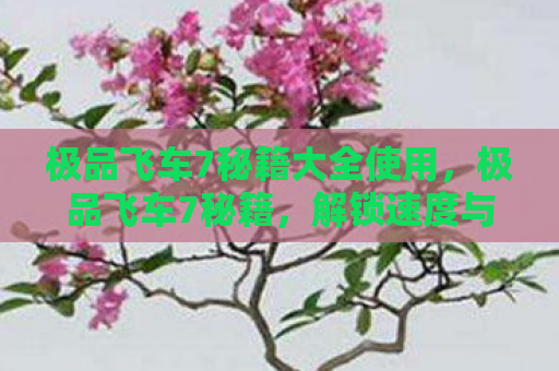 极品飞车7秘籍大全使用，极品飞车7秘籍，解锁速度与激情的终极攻略