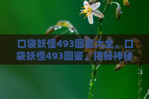 口袋妖怪493图鉴大全，口袋妖怪493图鉴，揭秘神秘宝可梦——玛机雅娜