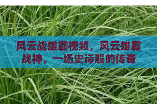 风云战雄霸视频，风云雄霸战神，一场史诗般的传奇