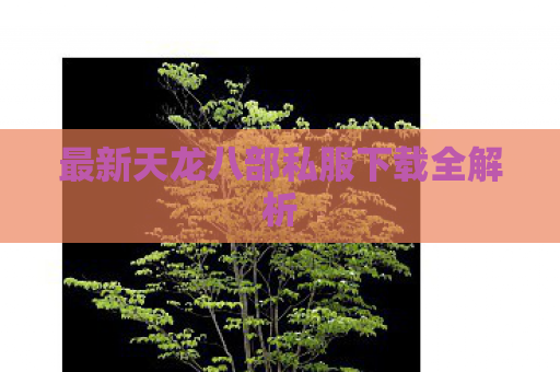 最新天龙八部私服下载全解析