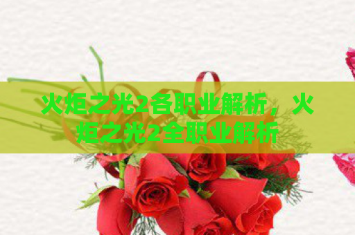 火炬之光2各职业解析，火炬之光2全职业解析