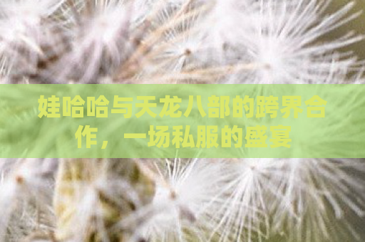 娃哈哈与天龙八部的跨界合作，一场私服的盛宴