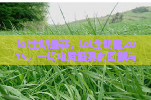 lol全明星赛，lol全明星2015，一场电竞盛宴的回顾与解析