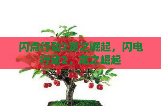 闪点行动2龙之崛起，闪电行动2，龙之崛起