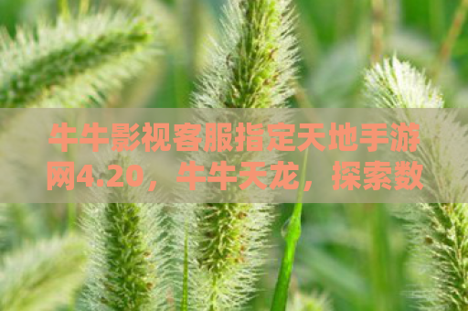 牛牛影视客服指定天地手游网4.20，牛牛天龙，探索数字时代的创新之路