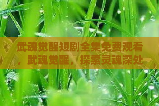 武魂觉醒短剧全集免费观看，武魂觉醒，探索灵魂深处的神秘力量