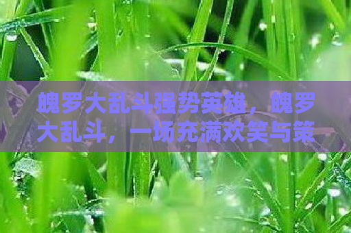 魄罗大乱斗强势英雄，魄罗大乱斗，一场充满欢笑与策略的欢乐盛宴