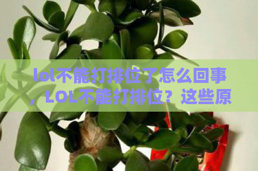 lol不能打排位了怎么回事，LOL不能打排位？这些原因和解决方法你得知道
