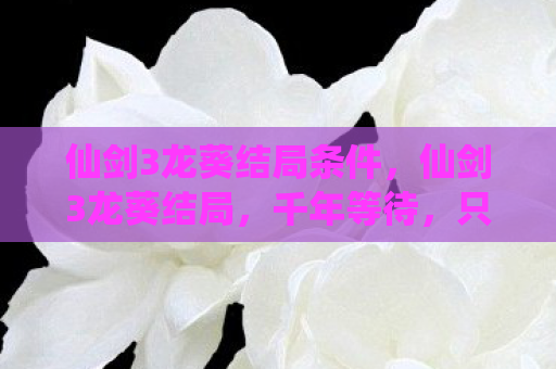 仙剑3龙葵结局条件，仙剑3龙葵结局，千年等待，只为重逢