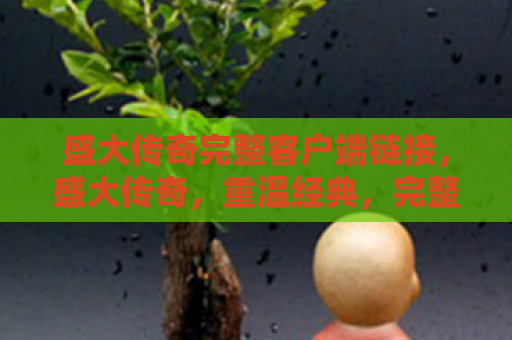 盛大传奇完整客户端链接，盛大传奇，重温经典，完整客户端再现传奇世界