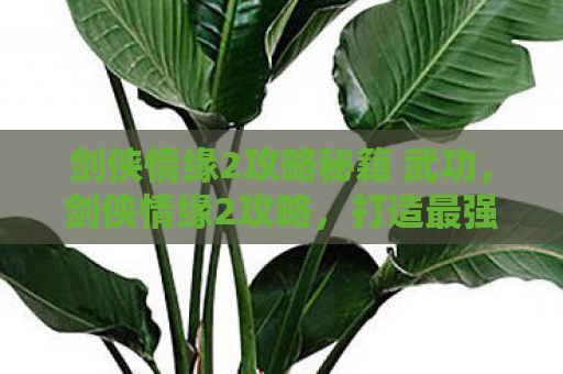 剑侠情缘2攻略秘籍 武功，剑侠情缘2攻略，打造最强角色，征服江湖