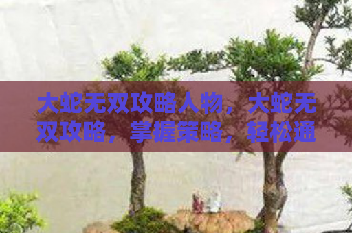 大蛇无双攻略人物，大蛇无双攻略，掌握策略，轻松通关