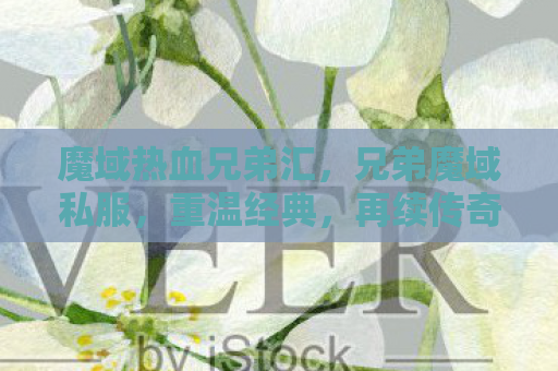 魔域热血兄弟汇，兄弟魔域私服，重温经典，再续传奇