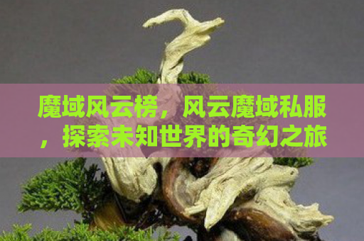 魔域风云榜，风云魔域私服，探索未知世界的奇幻之旅