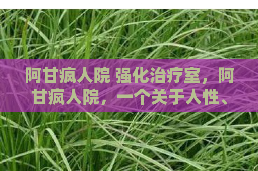 阿甘疯人院 强化治疗室，阿甘疯人院，一个关于人性、爱与救赎的奇妙旅程