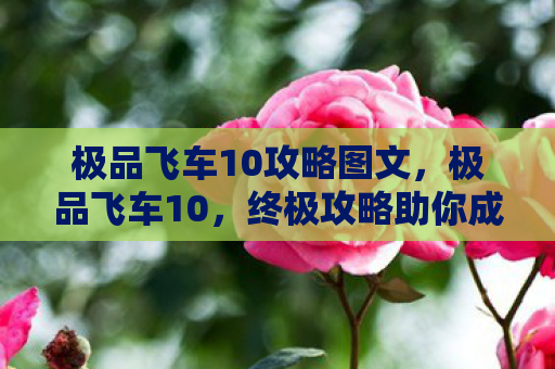极品飞车10攻略图文，极品飞车10，终极攻略助你成为赛道霸主