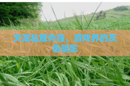 天龙私服外挂，游戏界的灰色阴影