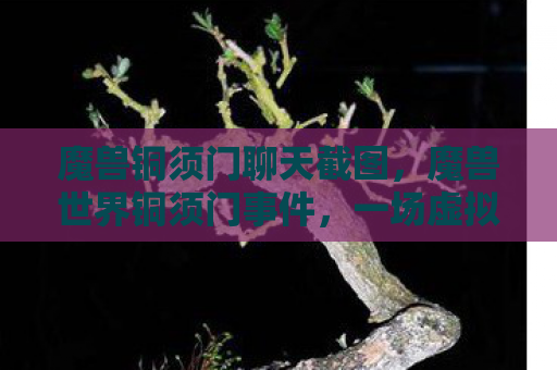 魔兽铜须门聊天截图，魔兽世界铜须门事件，一场虚拟世界的真实风暴