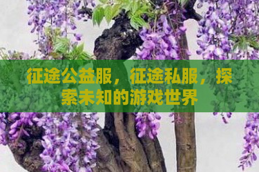 征途公益服，征途私服，探索未知的游戏世界