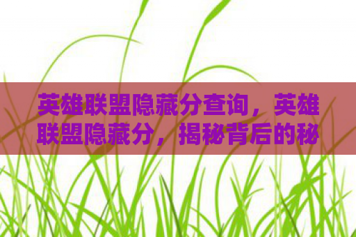 英雄联盟隐藏分查询，英雄联盟隐藏分，揭秘背后的秘密