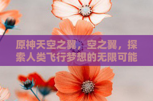 原神天空之翼，空之翼，探索人类飞行梦想的无限可能