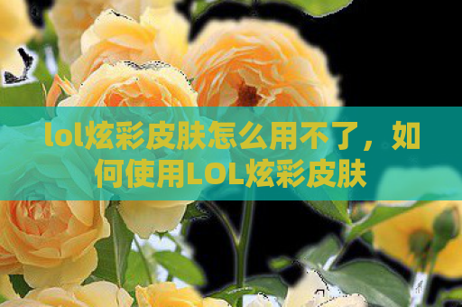 lol炫彩皮肤怎么用不了，如何使用LOL炫彩皮肤