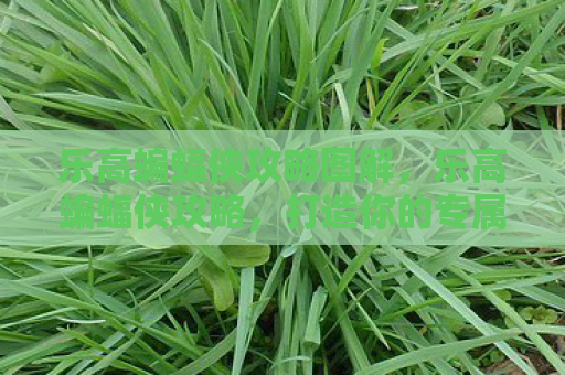 乐高蝙蝠侠攻略图解，乐高蝙蝠侠攻略，打造你的专属哥谭守护者