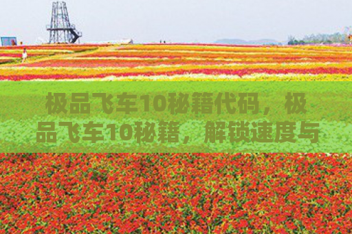 极品飞车10秘籍代码，极品飞车10秘籍，解锁速度与激情的终极攻略