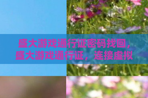 盛大游戏通行证密码找回，盛大游戏通行证，连接虚拟与现实的桥梁