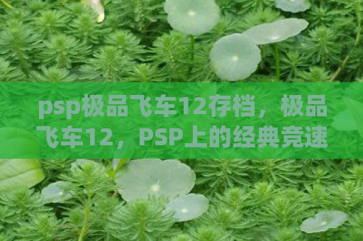 psp极品飞车12存档，极品飞车12，PSP上的经典竞速游戏