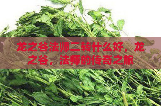 龙之谷法师二转什么好，龙之谷，法师的传奇之旅